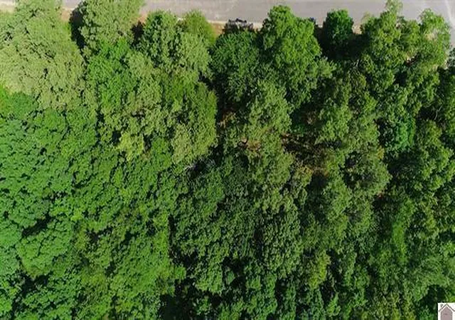 Homes for sale in Murray, KY | 00 Streetland Ln #Lot 90, Murray, KY 42071 | MLS# 26017751