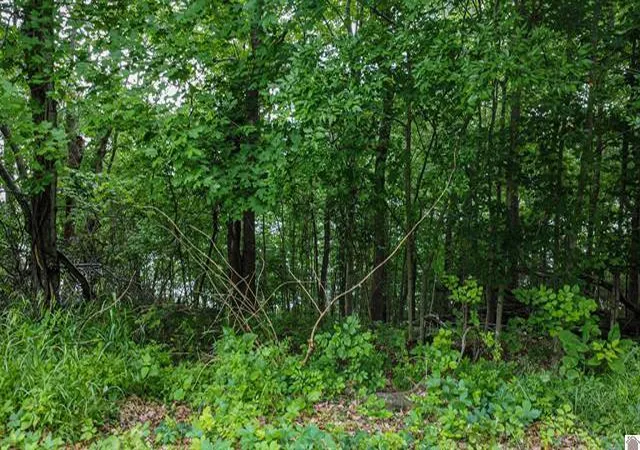 Homes for sale in Eddyville, KY | Lot 6 & 7 Deer Run Rd, Eddyville, KY 42038 | MLS# 26017586