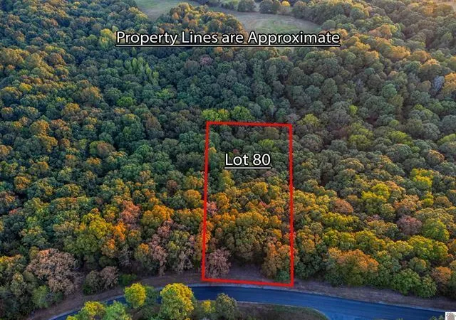 Photo 3 of Land for sale at Lot 79b & 80 Waterfowl Rd, Murray, KY 42071 | MLS# 26017597 | Listing updated on 2026-09-07