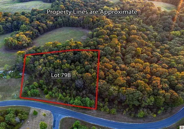 Photo 3 of Land for sale at Lot 79b & 80 Waterfowl Rd, Murray, KY 42071 | MLS# 26017597 | Listing updated on 2026-09-07