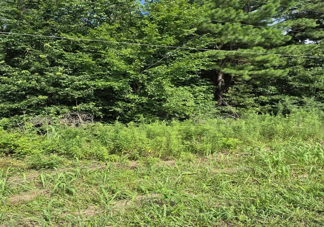1st image of Lot #273 Hawkeye Dr #Lot 273, Gilbertsville, KY 42044 | MLS# 26017598