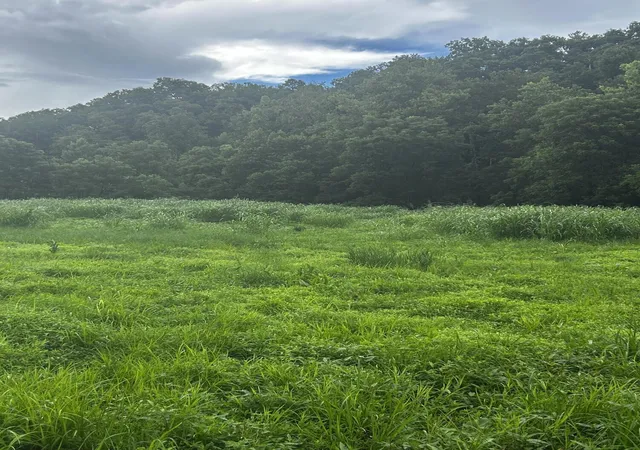 Photo 1 of Land for sale at 687 H M Garrison Rd, Manchester, KY 40962 | MLS# 26017604 | Listing updated on 2026-07-15