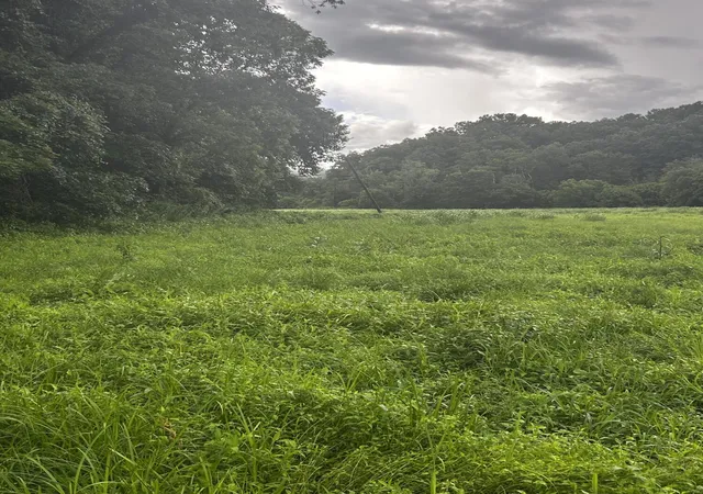 Photo 3 of Land for sale at 687 H M Garrison Rd, Manchester, KY 40962 | MLS# 26017604 | Listing updated on 2026-07-15