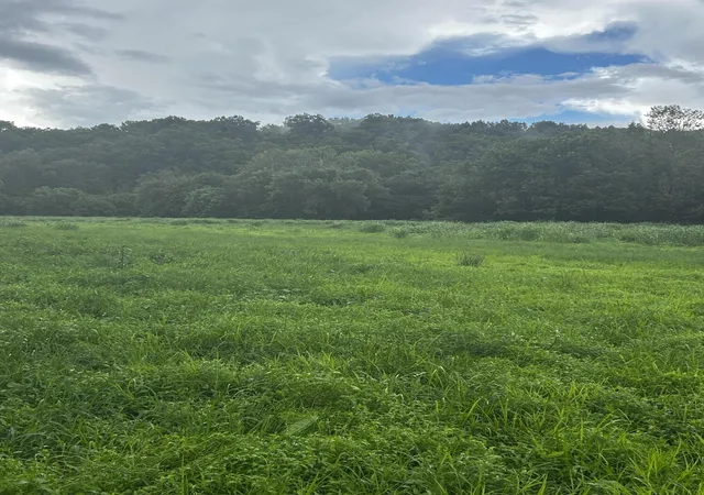 Photo 3 of Land for sale at 687 H M Garrison Rd, Manchester, KY 40962 | MLS# 26017604 | Listing updated on 2026-07-15