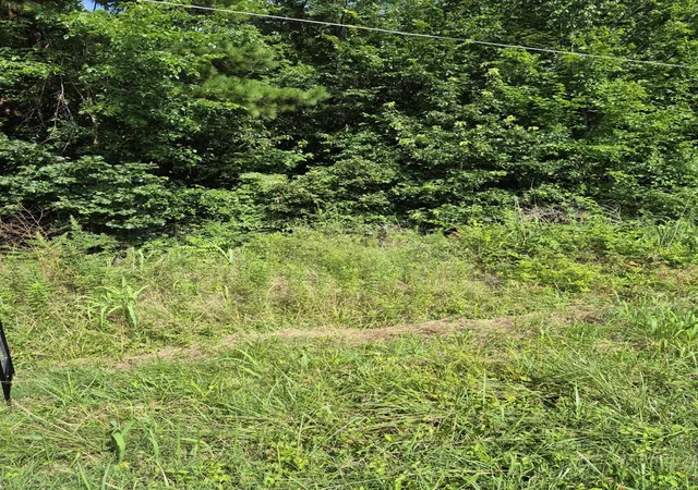 1st image of 275 Hawkeye Rd #Lot 275, Gilbertsville, KY 42044 | MLS# 26017603