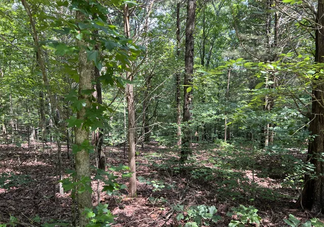 Homes for sale in New Concord, KY | Lot 53 Baypoint Ln, New Concord, KY 42076 | MLS# 26017628