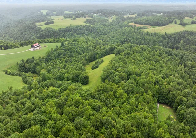 Homes for sale in Mc Kee, KY | 0000 0000 Mathis Rd Rd, Mc Kee, KY 40447 | MLS# 26017724