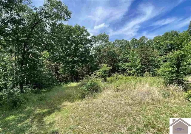 Homes for sale in Murray, KY | 00 Dock Dr Lot 66, Murray, KY 42071 | MLS# 26017721