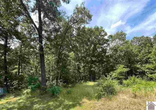 Homes for sale in Murray, KY | 00 Dock Dr Lot 66, Murray, KY 42071 | MLS# 26017721