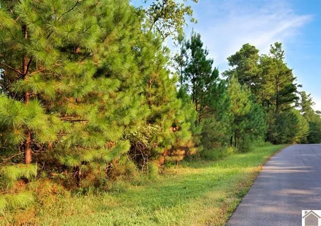 Photo 3 of Land for sale at Lot 100 Western Dr, Murray, KY 42071 | MLS# 26022985 | Listing updated on 2026-08-23