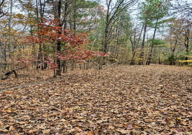 2nd image of Lot #3 #4 #5 & 3766 Acre Bear Run Trail #3, Benton, KY 42025 | MLS# 26017766