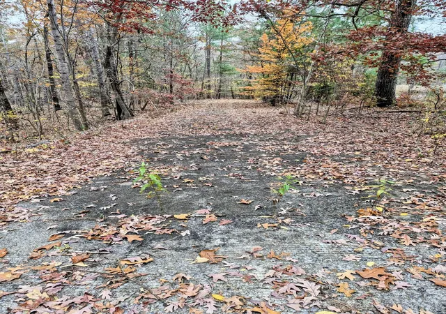 Photo 3 of Land for sale at Lot #4 #5 & 3766 Acre Bear Run Trl #3, Benton, KY 42025 | MLS# 26017766 | Listing updated on 2026-07-12