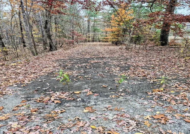 Photo 3 of Land for sale at Lot #4 #5 & 3766 Acre Bear Run Trl #3, Benton, KY 42025 | MLS# 26017766 | Listing updated on 2026-07-12
