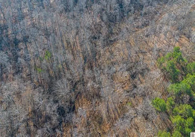 Photo 4 of Land for sale at Lot #4 #5 & 3766 Acre Bear Run Trl #3, Benton, KY 42025 | MLS# 26017766 | Listing updated on 2026-07-12