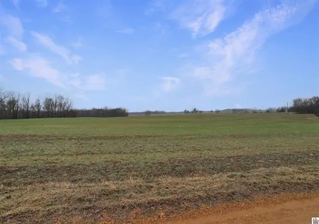 Homes for sale in Hazel, KY | 073-0-0003 Atkins Trl, Hazel, KY 42049 | MLS# 26017771