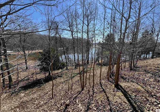 1st image of Tract 4 Oak Ridge Rd, Cadiz, KY 42211 | MLS# 26017778