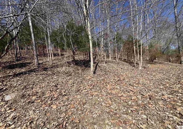 Photo 3 of Land for sale at Tract 4 Oak Ridge Rd, Cadiz, KY 42211 | MLS# 26017778 | Listing updated on 2026-07-12