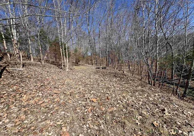 Photo 4 of Land for sale at Tract 4 Oak Ridge Rd, Cadiz, KY 42211 | MLS# 26017778 | Listing updated on 2026-07-12