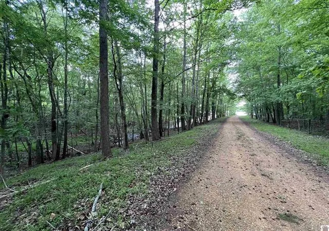 2nd image of Lot 51 Block E Serenity Shores Rd, Cadiz, KY 42211 | MLS# 26017792