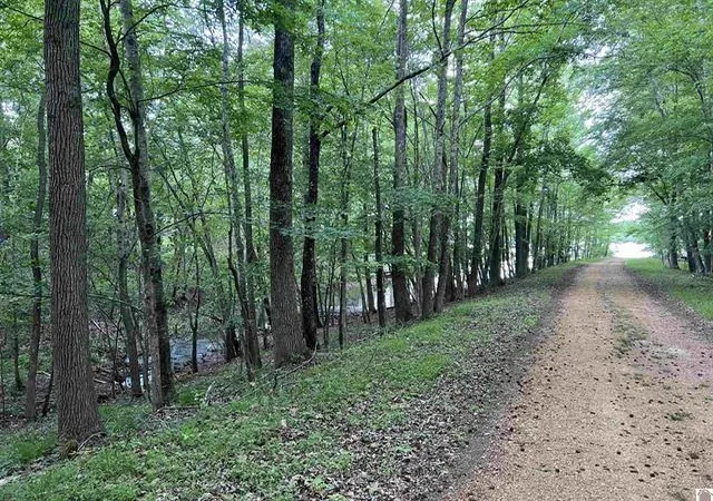 3rd image of Lot 51 Block E Serenity Shores Rd, Cadiz, KY 42211 | MLS# 26017792