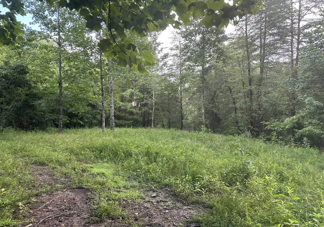 Photo 3 of Land for sale at 000 Cannon Holw Rd, Bronston, KY 42518 | MLS# 26017949 | Listing updated on 2026-07-15