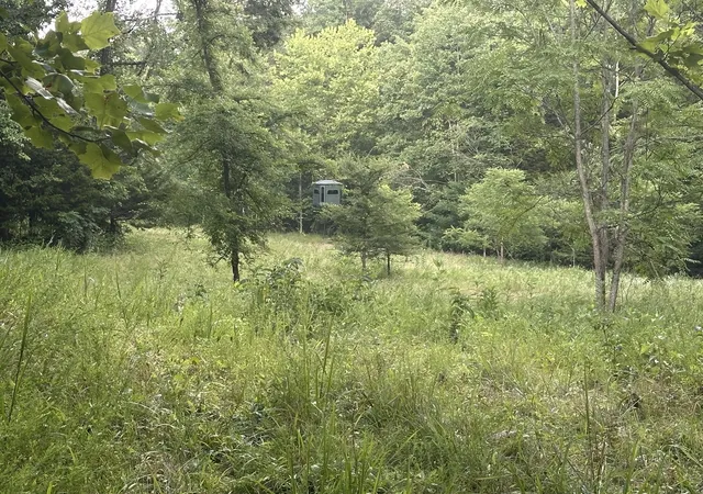 Photo 4 of Land for sale at 000 Cannon Holw Rd, Bronston, KY 42518 | MLS# 26017949 | Listing updated on 2026-07-15