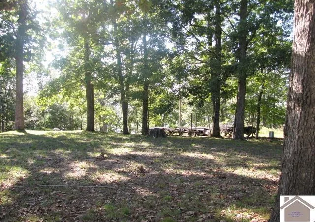 Homes for sale in Eddyville, KY | 1776 Parkersville Rd Rd, Eddyville, KY 42038 | MLS# 26017842
