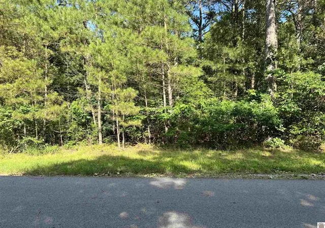 Photo 1 of Land for sale at Unit 2 Lot 96 Briarfield Rd, Murray, KY 42071 | MLS# 26017845 | Listing updated on 2026-09-10