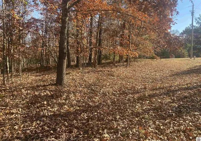 Homes for sale in Benton, KY | Lot 1 Faust Rd, Benton, KY 42025 | MLS# 26017854