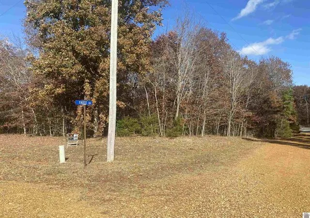 Homes for sale in Benton, KY | Lot 1 Faust Rd, Benton, KY 42025 | MLS# 26017854