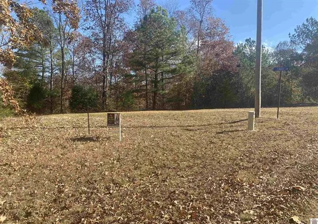 Homes for sale in Benton, KY | Lot 1 Faust Rd, Benton, KY 42025 | MLS# 26017854