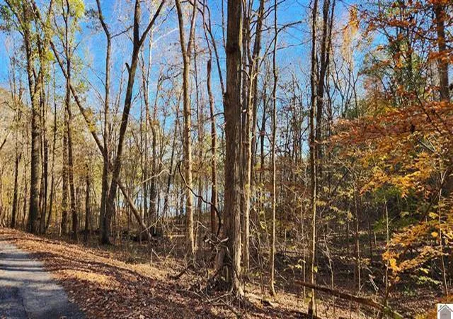 Homes for sale in Eddyville, KY | Lot 54B & 55E Commerce Landing Rd, Eddyville, KY 42038 | MLS# 26017874