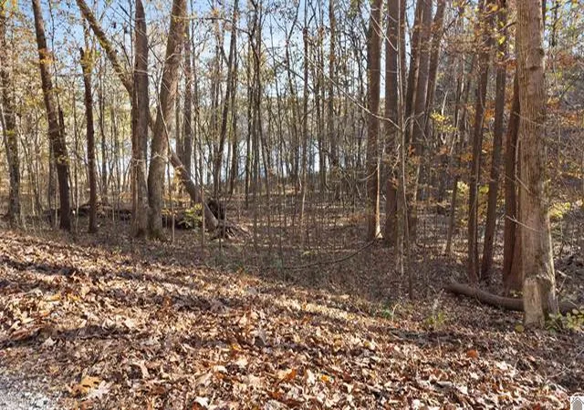 Homes for sale in Eddyville, KY | Lot 54B & 55E Commerce Landing Rd, Eddyville, KY 42038 | MLS# 26017874