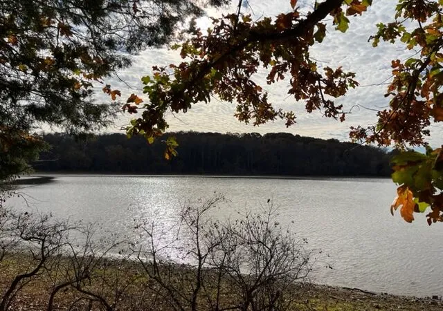 Photo 2 of Land for sale at 0 Crane Ln, Cadiz, KY 42211 | MLS# 26017943 | Listing updated on 2026-08-21