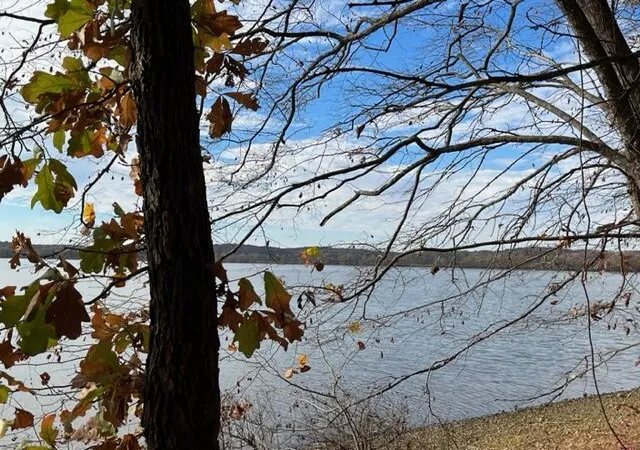 Photo 3 of Land for sale at 0 Crane Ln, Cadiz, KY 42211 | MLS# 26017943 | Listing updated on 2026-08-21