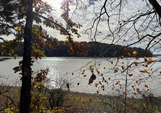 Photo 3 of Land for sale at 0 Crane Ln, Cadiz, KY 42211 | MLS# 26017943 | Listing updated on 2026-08-21