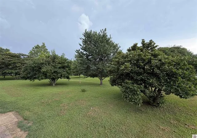 Homes for sale in Eddyville, KY | 3003 Friendship Rd, Eddyville, KY 42038 | MLS# 26017942