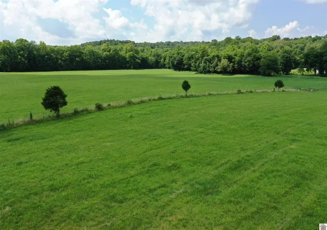 Homes for sale in Marion, KY | 0 Turkey Knob Rd, Marion, KY 42064 | MLS# 26018003