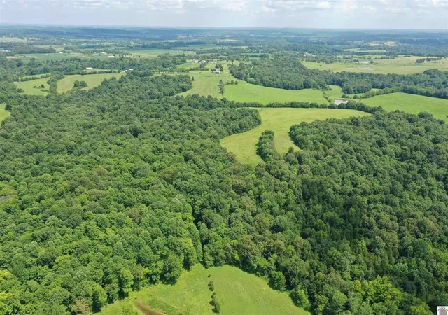 Homes for sale in Marion, KY | 0 Turkey Knob Rd, Marion, KY 42064 | MLS# 26018003