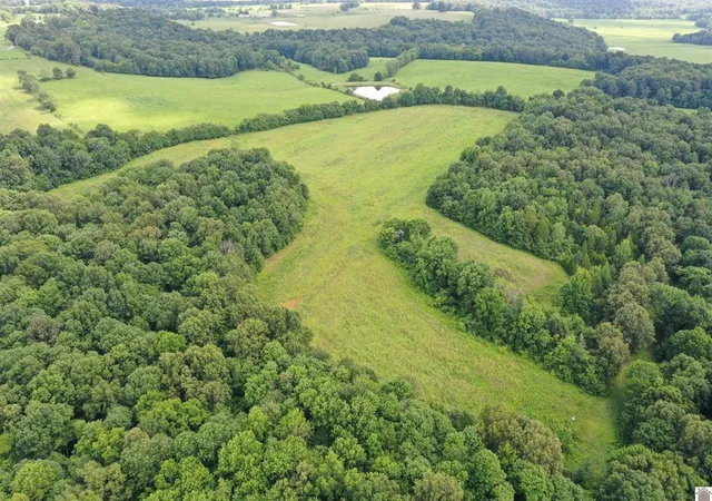 Homes for sale in Marion, KY | 0 Turkey Knob Rd, Marion, KY 42064 | MLS# 26018003