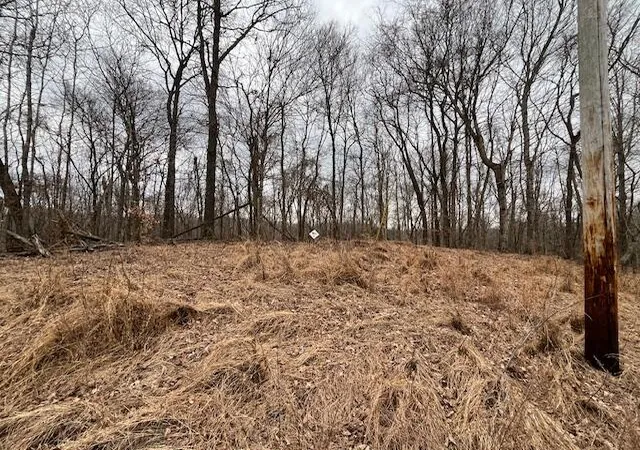 Photo 3 of Sale Pending at 0 Pelican Way, Cadiz, KY 42211 | MLS# 26018058 | Listing updated on 2026-09-26