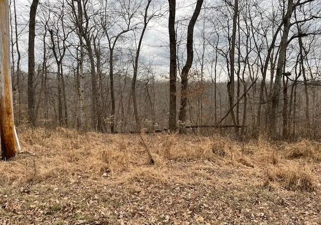 Photo 3 of Sale Pending at 0 Pelican Way, Cadiz, KY 42211 | MLS# 26018058 | Listing updated on 2026-09-26