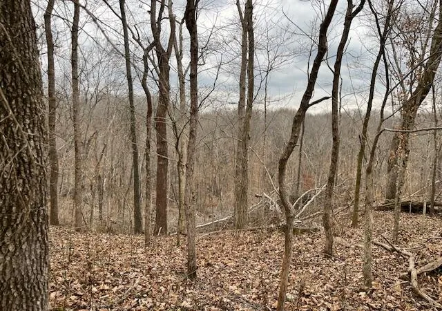 Photo 4 of Sale Pending at 0 Pelican Way, Cadiz, KY 42211 | MLS# 26018058 | Listing updated on 2026-09-26