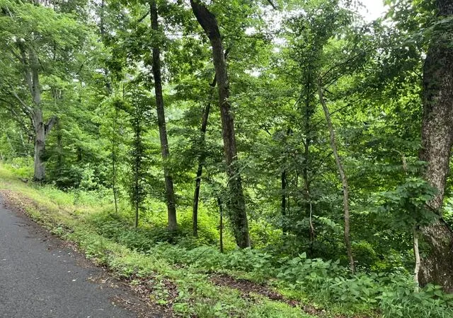17th image of 449 Baker Ln, Cadiz, KY 42211 | MLS# 26018068