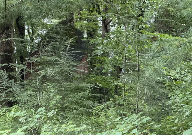 Photo 4 of Sale Pending at Lots 21 And 22 Laurel Cvs Rd, London, KY 40744 | MLS# 26018107 | Listing updated on 2026-09-02