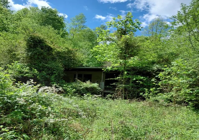 2nd image of 803 Hall Branch Rd, Topmost, KY 41862 | MLS# 26018113