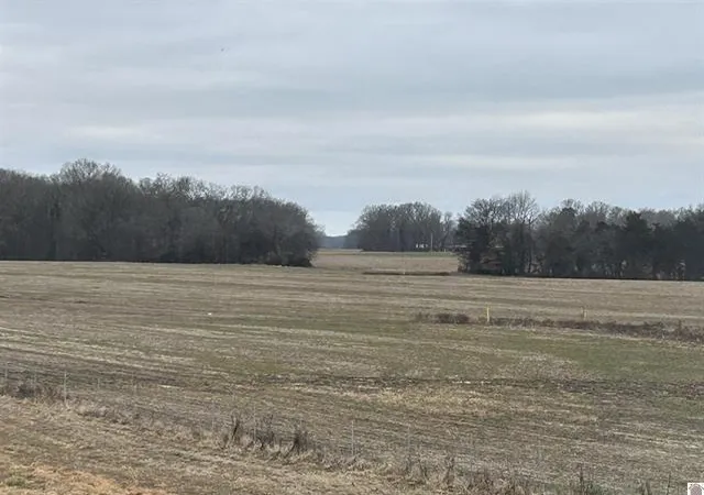 Homes for sale in Murray, KY | 00 S 641 Hwy, Murray, KY 42071 | MLS# 26018268
