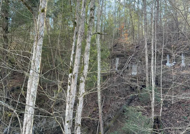 Photo 3 of Single family home for sale at 520 State Hwy 708, Beattyville, KY 41311 | MLS# 26019700 | Listing updated on 2026-07-24