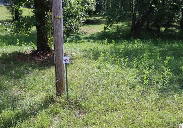 Photo 1 of Land for sale at Lot 45 Doe Valley Dr, Benton, KY 42025 | MLS# 26022989 | Listing updated on 2026-08-23