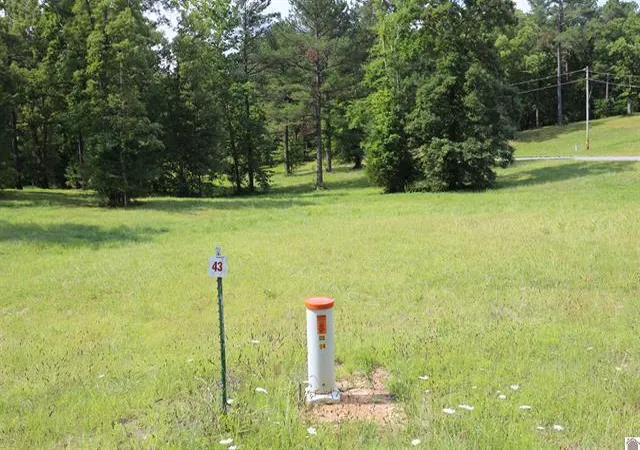 Photo 1 of Land for sale at Lot 43 Pine View Dr, Benton, KY 42025 | MLS# 26022998 | Listing updated on 2026-08-23